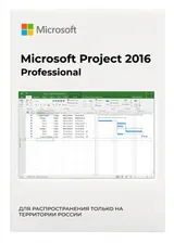 Microsoft Project 2016 Professional