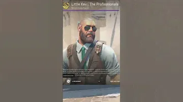 Agents in CS2 Little Kev | The Professionals
