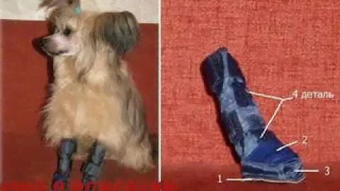Обувь для собак walker