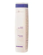 Шампунь регулирующий работу сальных желез, Hair Company Professional