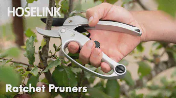Ratchet Pruners - USA