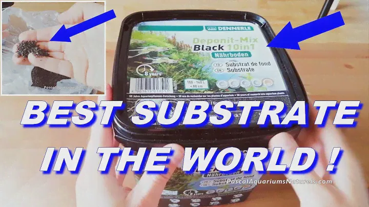 Le nouveau sol nutritif DeponitMix Black 10 en 1 Dennerle ! Projet Pascal Aquariums Naturels