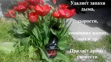 Чистим обивку стула с помощью PRO BRITE Lenot