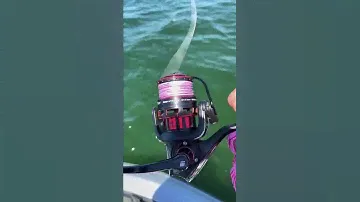 THIS BRAIDED LINE IS AMAZING!