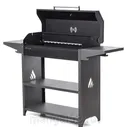 Гриль-мангал PROFESSIONAL STANDART BBQ (гриль на дровах) с крышкой барбекю из металла