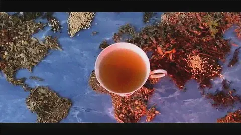 Ahmad Tea B2B video