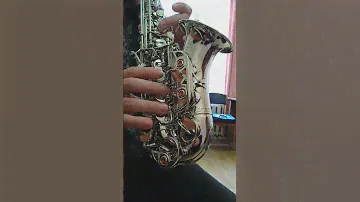 Yanagisawa curved