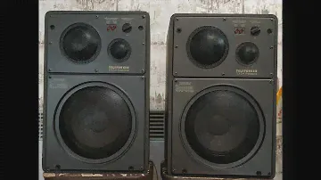 TELEFUNKEN TLX 2/4 Professional