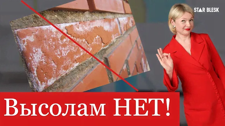 Средство для удаления высолов на кирпиче, бетоне, плитке и др. поверхностях. Biosoap s401