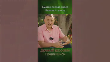 НАДЕЖНОЕ средство от СЛИЗНЕЙ Дачный агроном