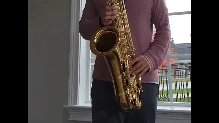 Yanagisawa T-WO2 Playtest