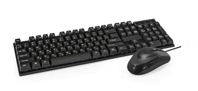 Комплект Exegate Professional Standard Combo MK110-OEM EX295303RUS (клавиатура влагозащищенная 104кл. + мышь оптическая 1000dpi, 3 кнопки и колесо про, Professional Standard Combo MK110-OEM-0