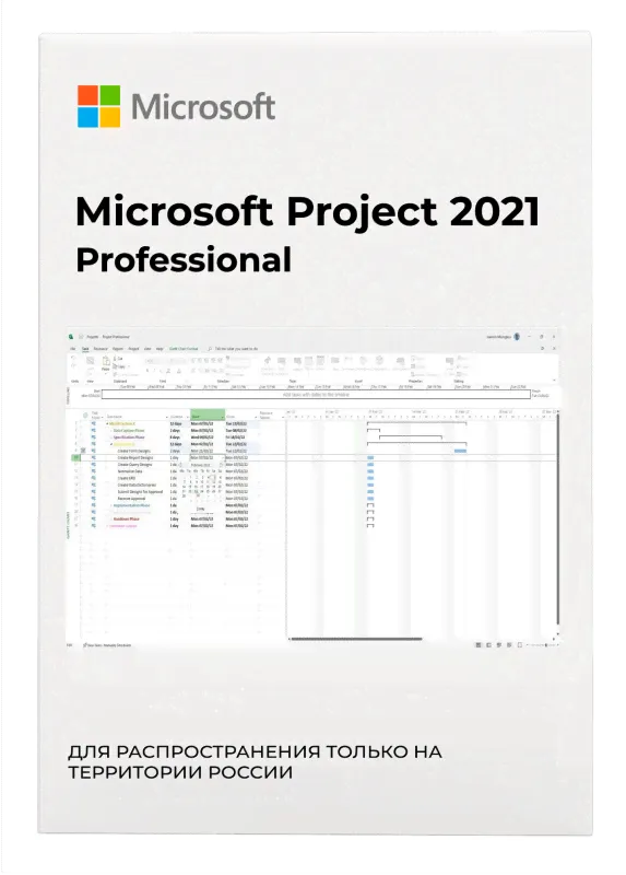 Microsoft Project 2021 Professional