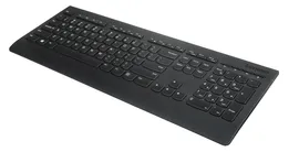 Клавиатура Lenovo Professional Wireless Keyboard чёрный (4X30H56866)