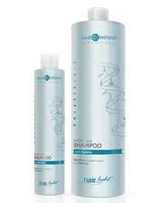 Шампунь-уход с кератином Keratin Care, Hair Company Professional