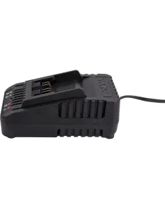 Зарядное устройство Professional WA3924-0