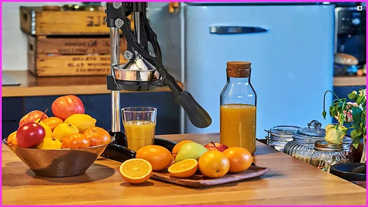 Top Hand Press Juicer Machine 2022  ||  Best Hand Press Juicer Machine 2022