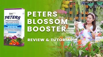 Peters Blossom Booster Product Review and Fertlizer Tutorial for Flowering Plants at  Girasoles Farm