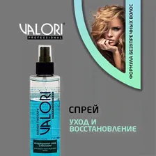      Valori Professional   