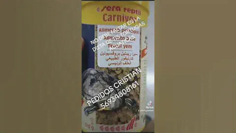 ALIMENTO SERA CARNIVOR TORTUGA ACUATICA - DIETA DE TORTUGA ACUATICA