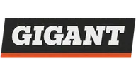 Gigant Professional Cверлильная машина EDM-255BC GIGANT TOOLS