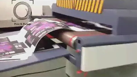 Лакировальная машина с ручной подачей SGZ 1200