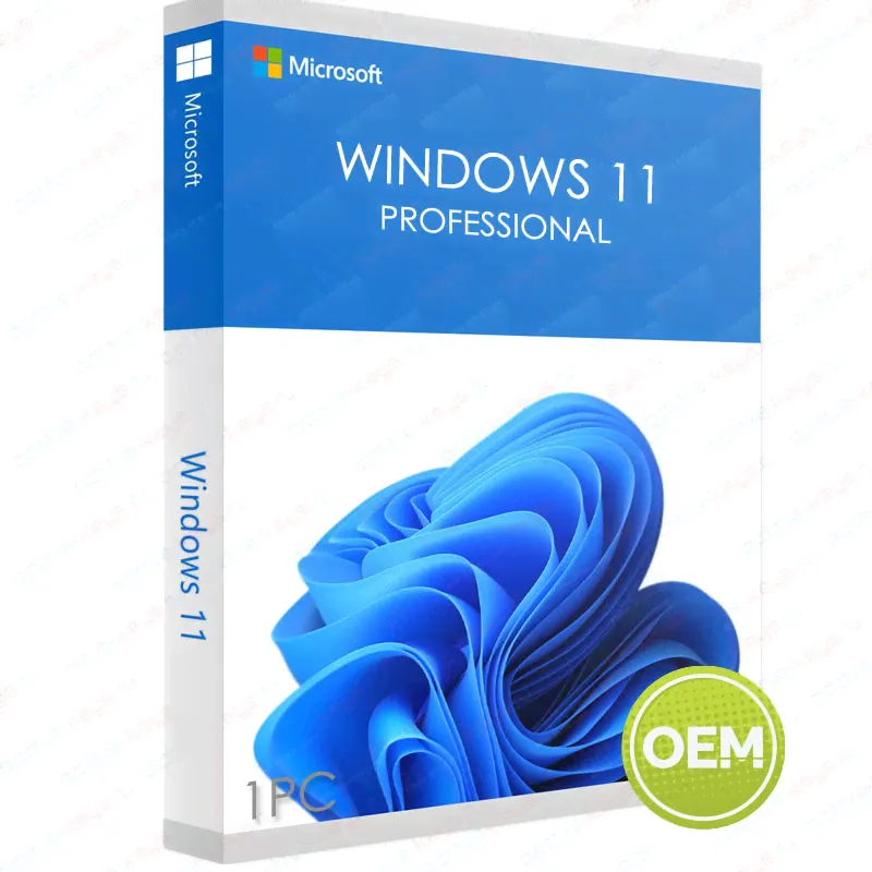 Microsoft Windows 11 Professional (OEM)-0