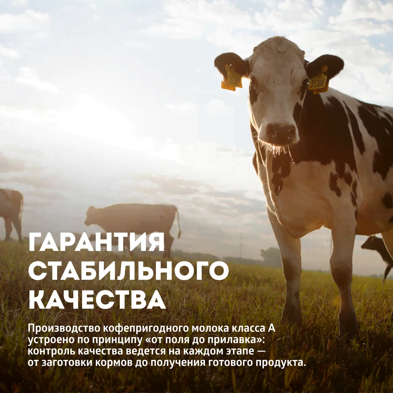 Молоко Эконива Professional Line ультрапастеризованное 3.2%, 1л-4