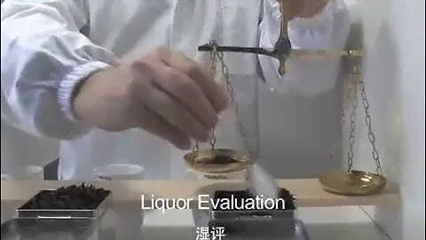 Professional Tea Tasting Session 1/3 - Black Tea Evaluation