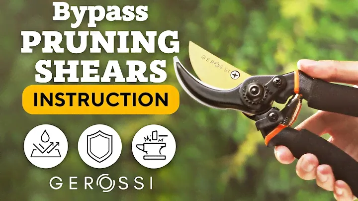 Top Bypass Pruning Shears for Gardening made of Japanese High Carbon Steel Amazon Available