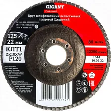 Professional Круг лепестковый 125?22,2 мм; P120; цирконий GNT-P120