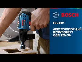 Шуруповерт аккумуляторный Bosch GSR 12V30 Professional Li-lon, 30Нм, 12.0В, 2х2Ач