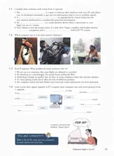 Professional English in Use. ICT. Book with answers