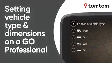 Настройка типа и размеров автомобиля на GO Professional