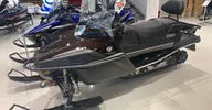 Снегоход Yamaha VK Professional II EPS VK10G 2020