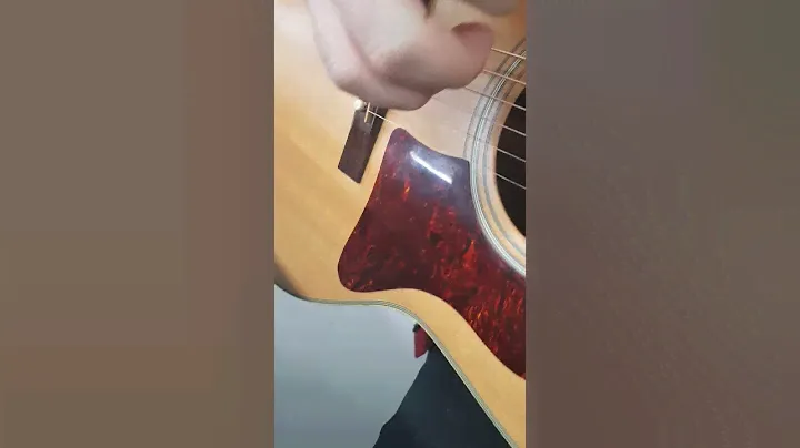 HOHNER gruhn design guitar