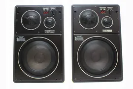 Kolumny TELEFUNKEN TLX 22/4 PROFESSIONAL Vintage