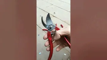 Hand tools for sale Prunning shears Carbon steel Bypass hand pruner gardening tools