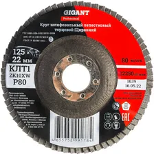 Круг лепестковый Gigant GNT-P80 Professional 125х22.2 мм, P80, цирконий