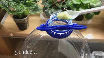 ЭТО ЛУЧШЕЕ УДОБРЕНИЕ для ФИАЛОК!
