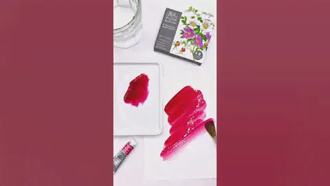 Winsor & Newton Professional Watercolour | Karen Kluglein Botanical Set