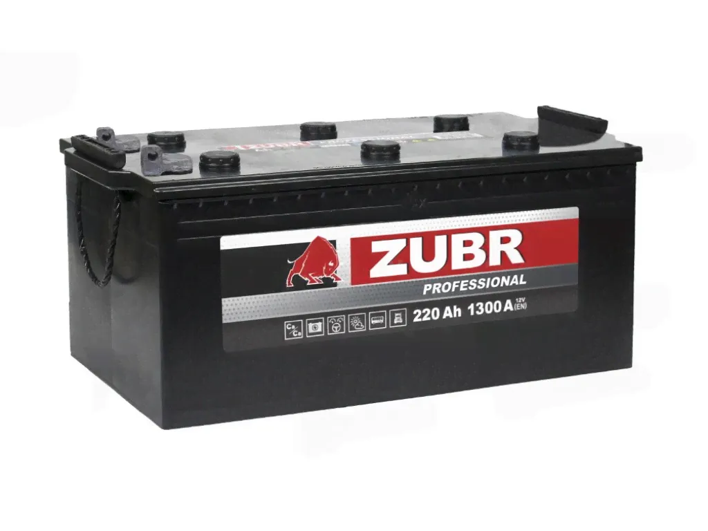 Автомобильные аккумуляторы ZUBR Professional 220Ah R+ (болт) 1300 A (510x218x225) L+ Грузовая, Прямая-0