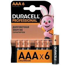 Батарея Duracell Professional AAA LR03/MN2400 6шт.