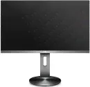 Монитор AOC Professional I2490PXQU/BT cерый
