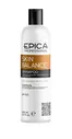 Шампунь EPICA PROFESSIONAL SKIN BALANCE для волос жирных волос, 300мл