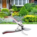 Bypass Pruning Shears Heavy Duty Hand Garden Scissors Professional Trimmer Secateurs,Carbon Steel SK5 Blade