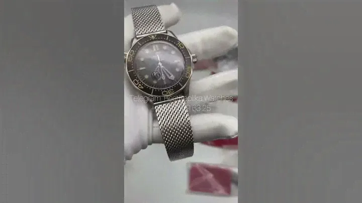 Omega  Seamaster Professional