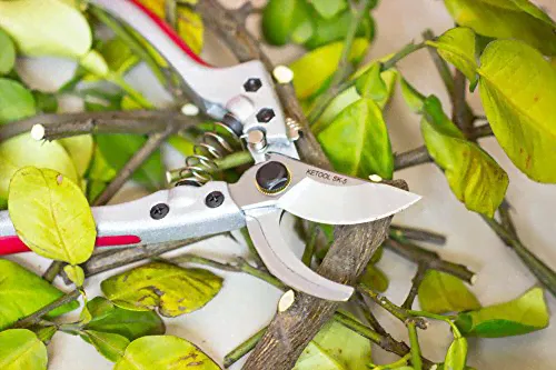 Bypass Pruning Shears Heavy Duty Hand Garden Scissors Professional Trimmer Secateurs,Carbon Steel SK5 Blade-3