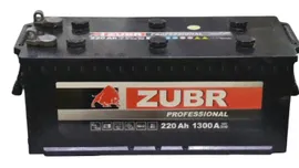 ZUBR PROFESSIONAL 220Ач R+ EN1300A 510x218x225 (ZPT2204) Болт клемма B00