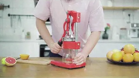Make juice at home with CO-Z Juicer